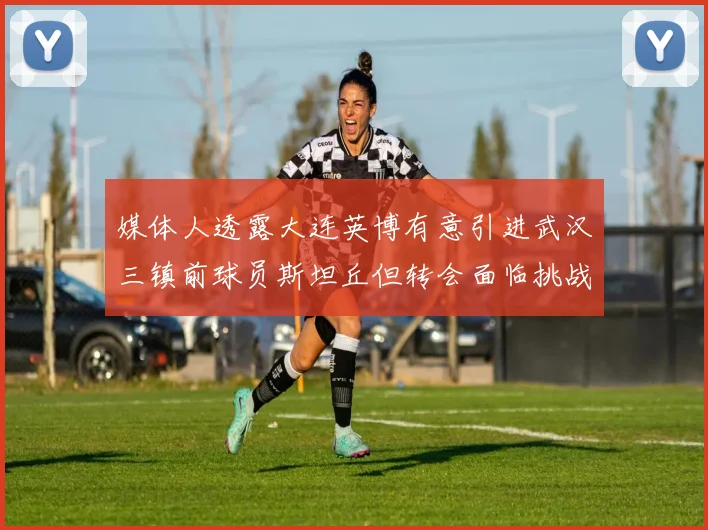 媒体人透露大连英博有意引进武汉三镇前球员斯坦丘但转会面临挑战