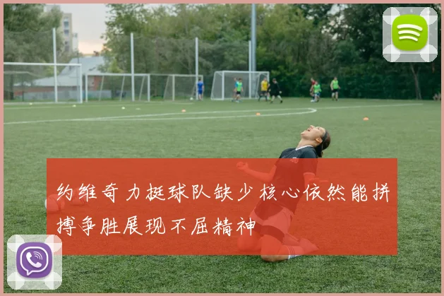 约维奇力挺球队缺少核心依然能拼搏争胜展现不屈精神