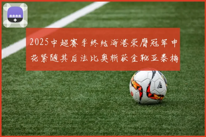 2025中超赛季终结海港荣膺冠军申花紧随其后法比奥斩获金靴亚泰梅州遗憾降级