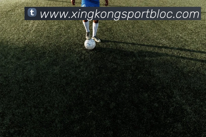 星空足球平台生态图